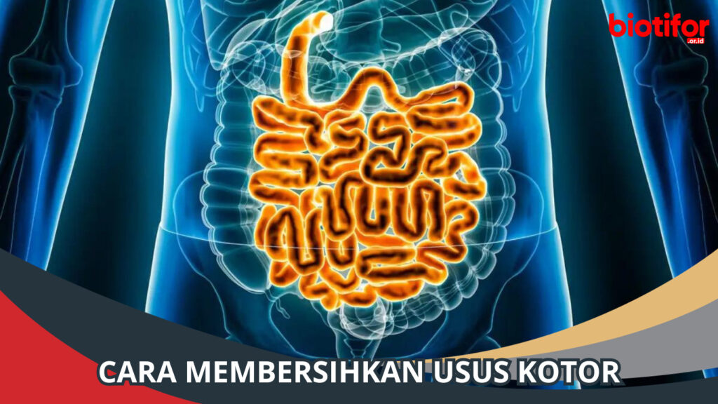 Cara Membersihkan Usus Kotor Cintai Ususmu dengan Cara ini! Biotifor
