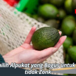 Cara Memilih Alpukat yang Bagus untuk Stok Agar tidak Zonk