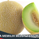 Cara Memilih Melon yang Manis