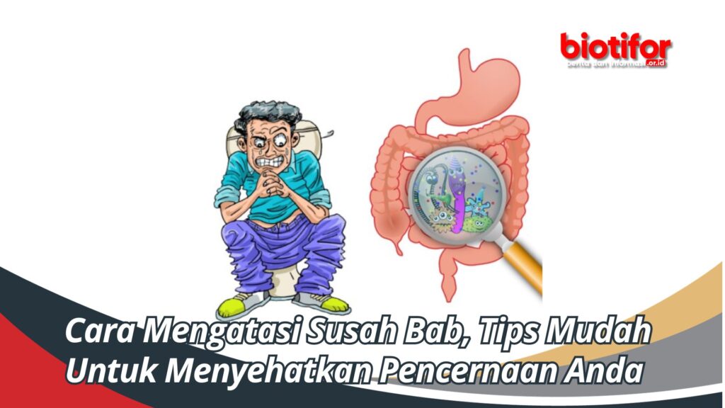 Cara Mengatasi Susah Bab, Tips Mudah Untuk Menyehatkan Pencernaan Anda