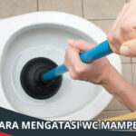Cara Mengatasi WC Mampet