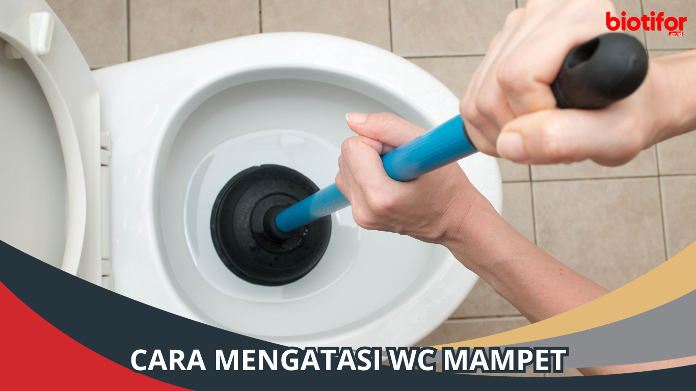 Cara Mengatasi WC Mampet