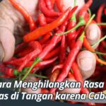 Cara Menghilangkan Rasa Panas di Tangan karena Cabai