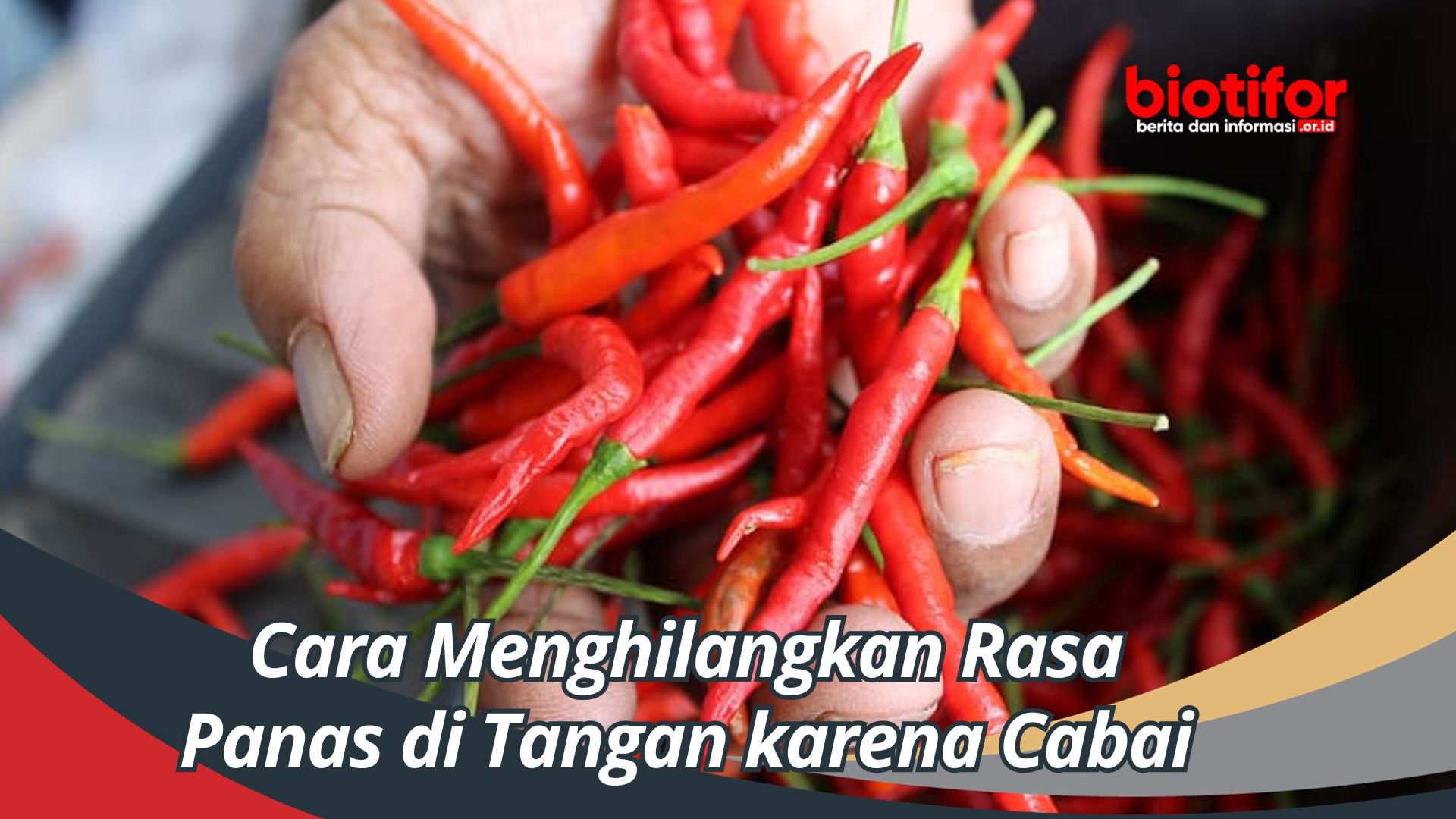 Cara Menghilangkan Rasa Panas di Tangan karena Cabai