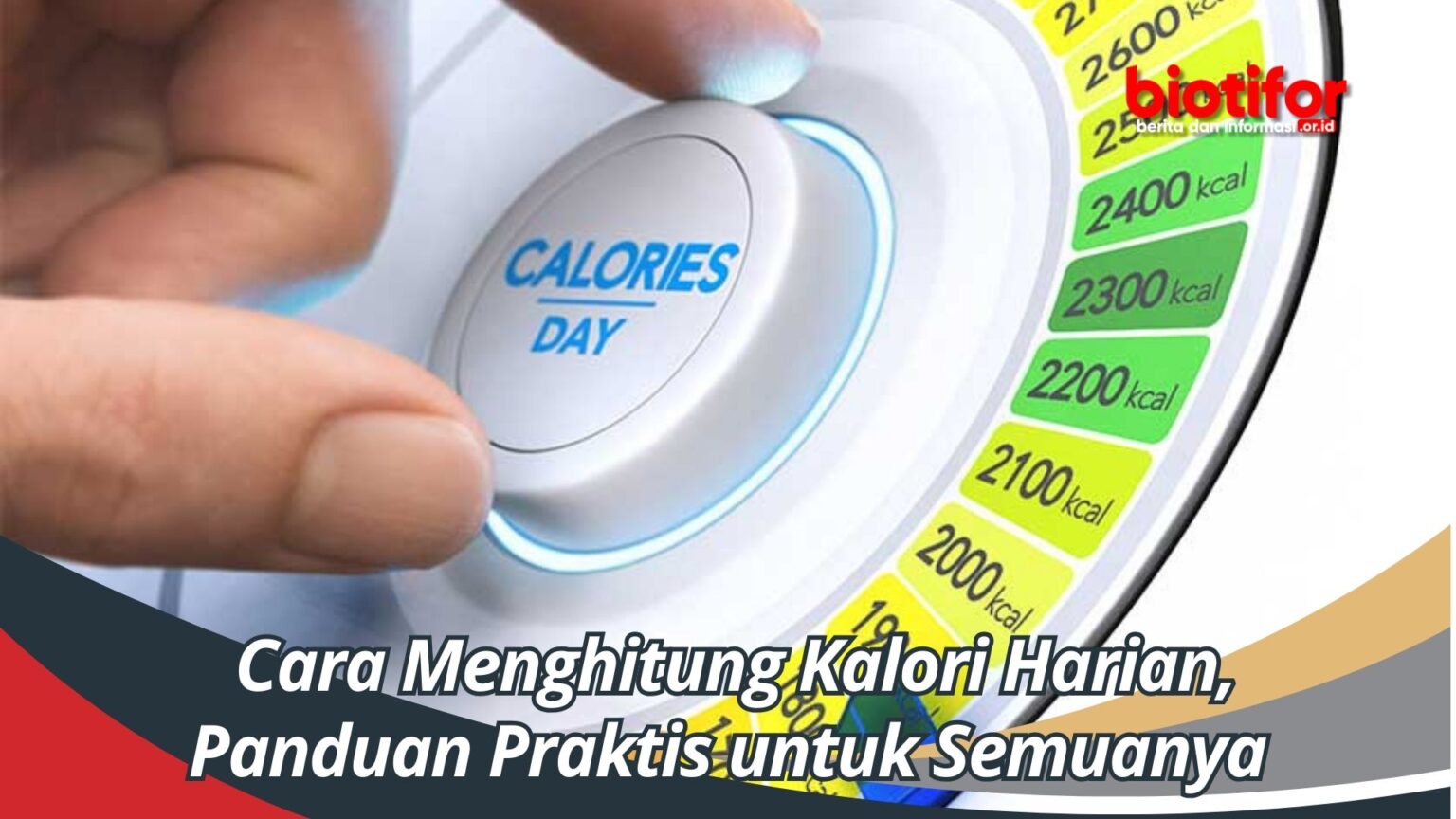 Cara Menghitung Kalori Harian, Panduan Praktis untuk Semuanya Biotifor