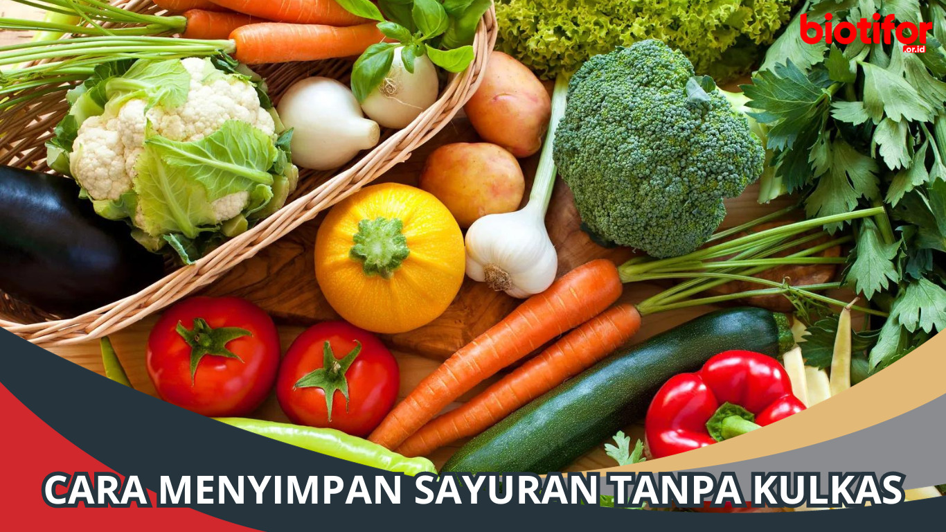 Inilah Cara Menyimpan Sayuran Tanpa Kulkas, Dijamin Awet!