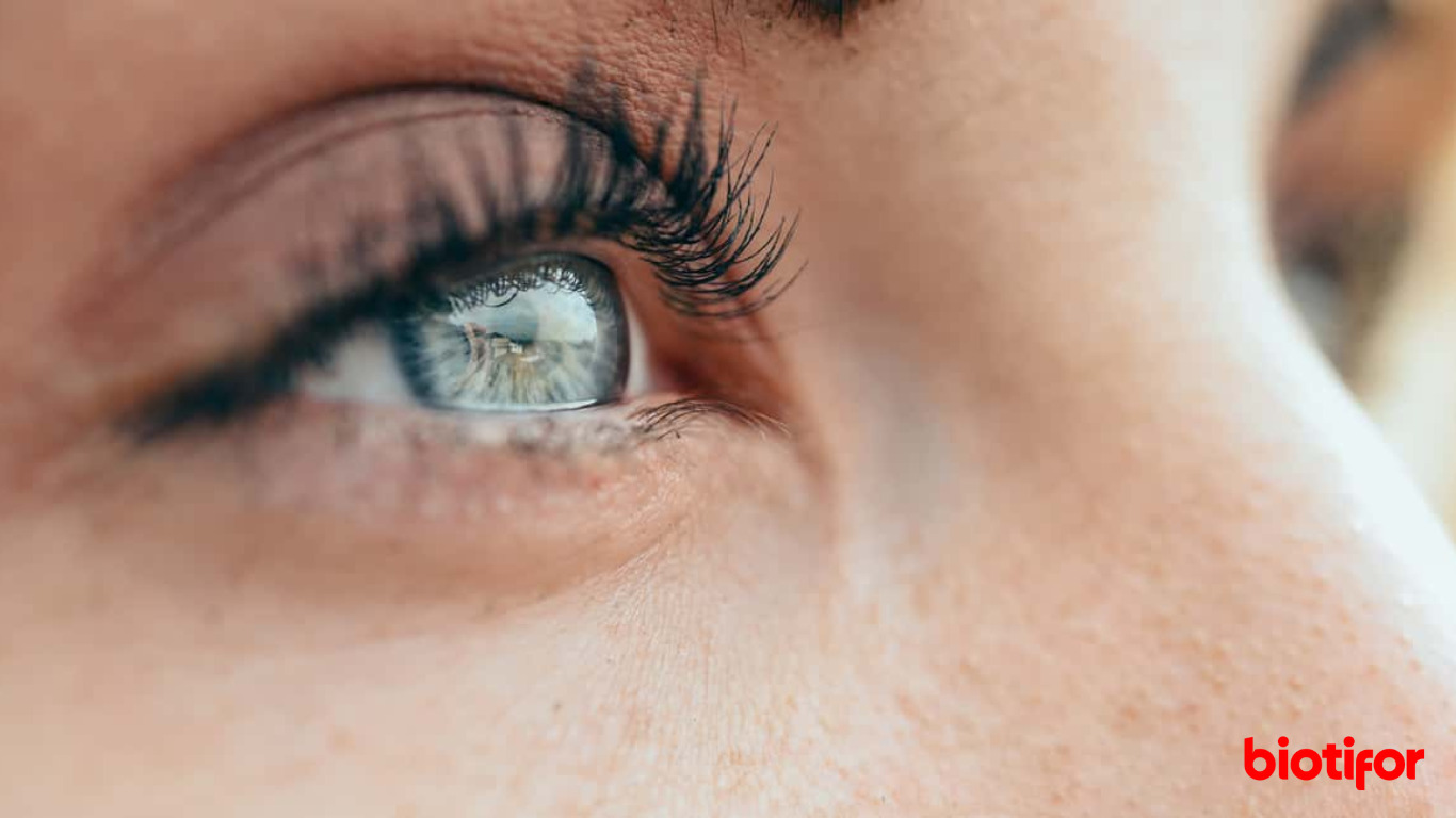 cara merawat mata cara merawat mata