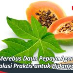 Cara Merebus Daun Pepaya Agar Tidak Pahit, Solusi Praktis untuk Hidangan Lezat