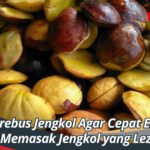 Cara Merebus Jengkol Agar Cepat Empuk: Tips Memasak Jengkol yang Lezat