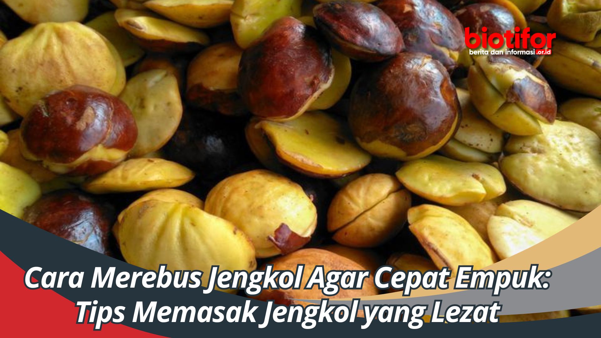 Cara Merebus Jengkol Agar Cepat Empuk: Tips Memasak Jengkol yang Lezat