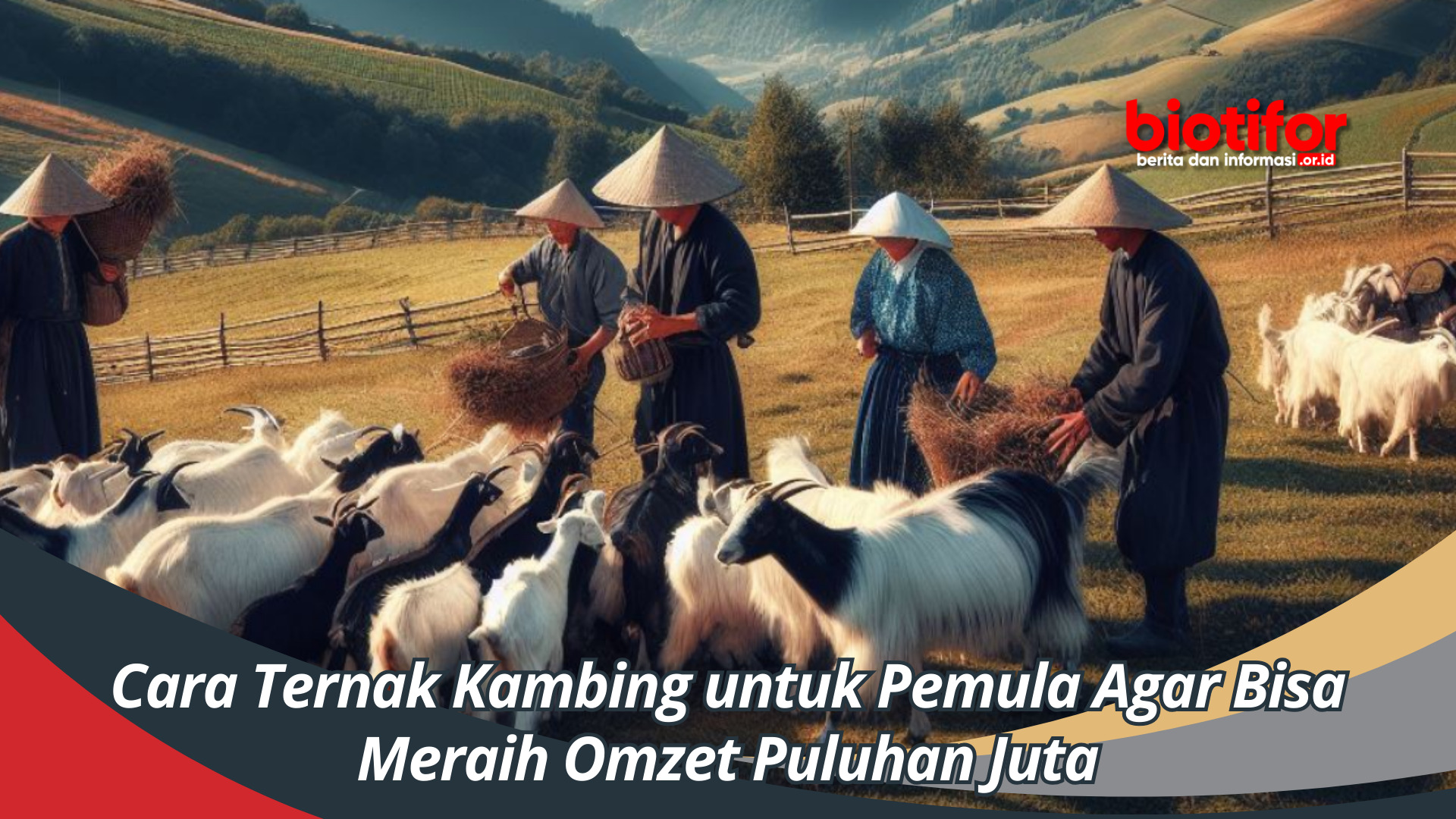 Cara Ternak Kambing untuk Pemula Agar Bisa Meraih Omzet Puluhan Juta