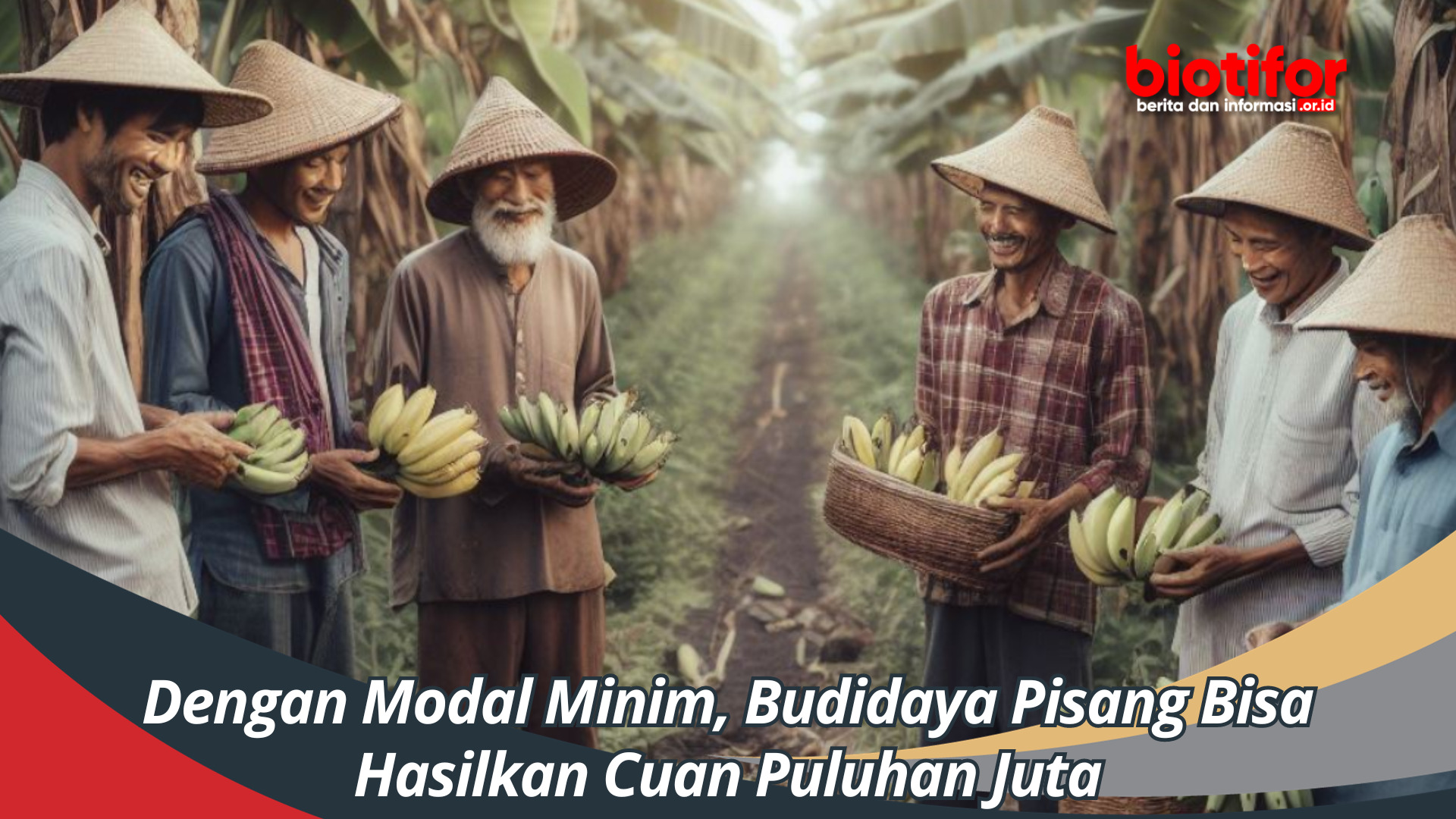 Dengan Modal Minim, Budidaya Pisang Bisa Hasilkan Cuan Puluhan Juta