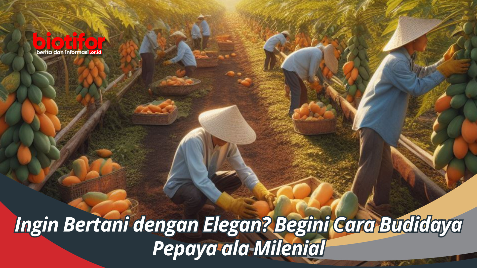 Ingin Bertani dengan Elegan? Begini Cara Budidaya Pepaya ala Milenial