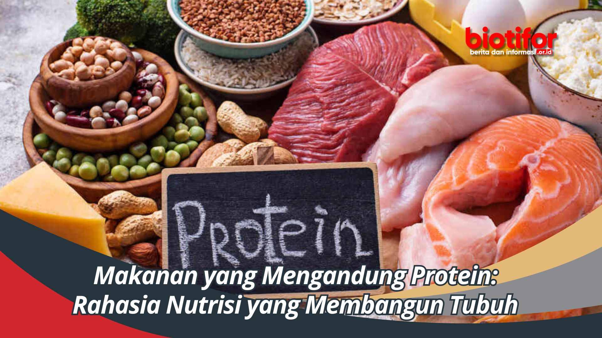 Makanan yang Mengandung Protein: Rahasia Nutrisi yang Membangun Tubuh