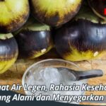 Manfaat Air Legen, Rahasia Kesehatan yang Alami dan Menyegarkan