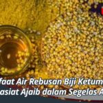 Manfaat Air Rebusan Biji Ketumbar: Khasiat Ajaib dalam Segelas Air