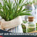 Manfaat Air Rosemary untuk Rambut