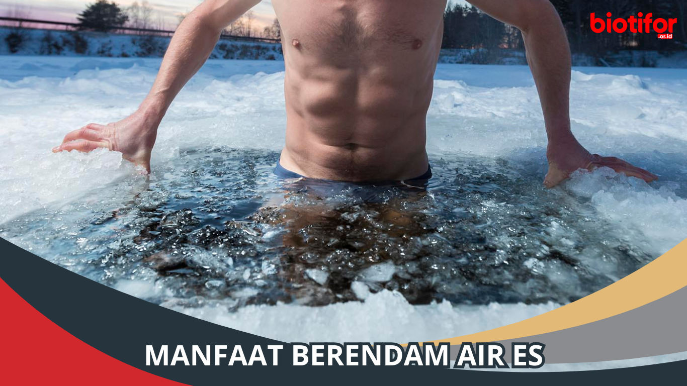 Manfaat Berendam Air Es Bagi Kesehatan Tubuh dan Kecantikan