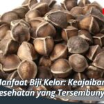 Manfaat Biji Kelor: Keajaiban Kesehatan yang Tersembunyi