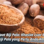 Manfaat Biji Pala: Khasiat Luar Biasa dari Biji Pala yang Perlu Anda Ketahui