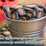 Manfaat Biji Semangka, Kesehatan yang Tersembunyi dalam Benih Semangka