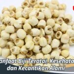 Manfaat Biji Teratai, Kesehatan dan Kecantikan Alami