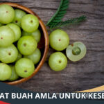 Manfaat Buah Amla