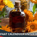 Manfaat Calendula untuk Kulit