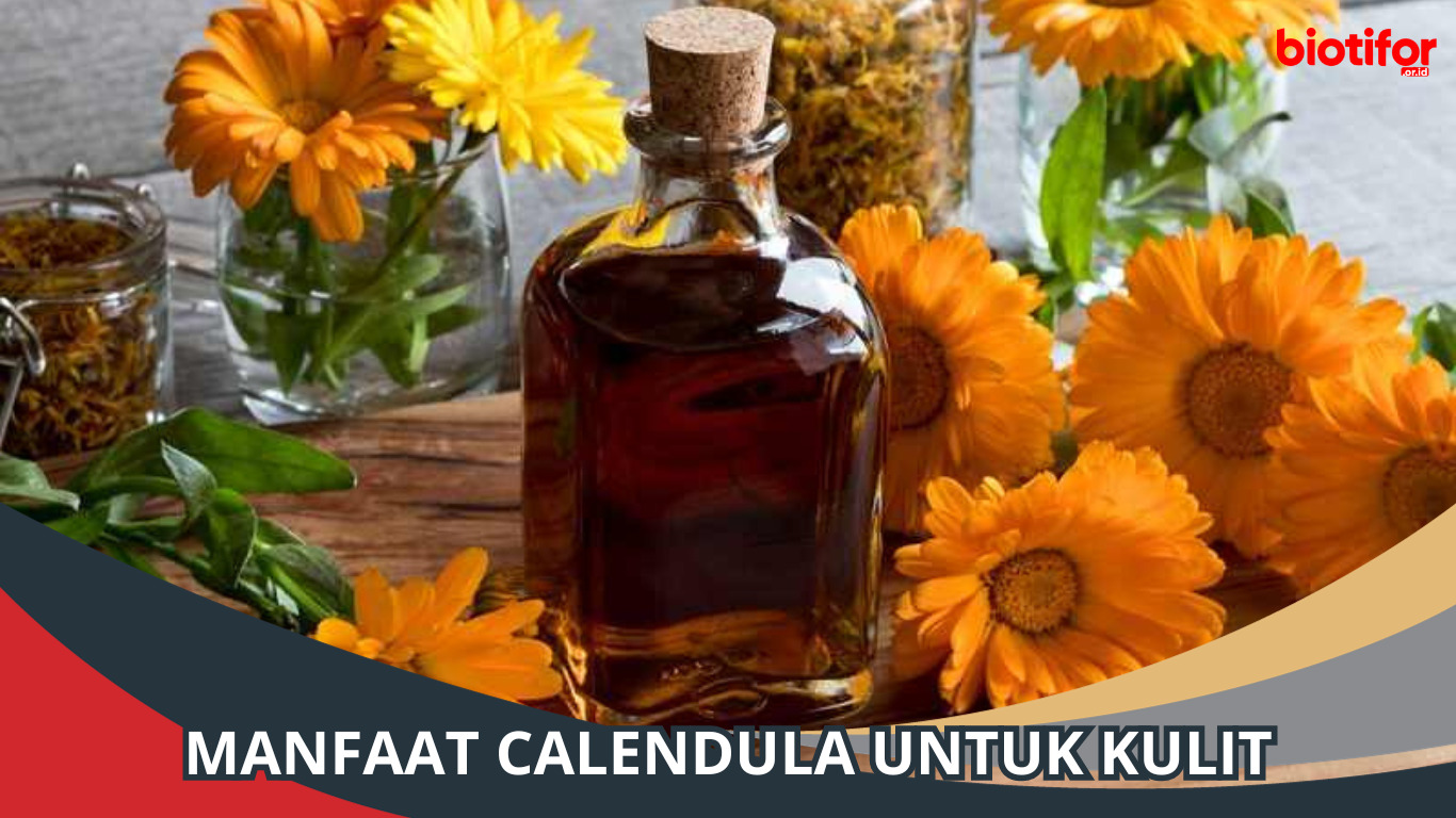 Manfaat Calendula untuk Kulit, Bunga untuk Perawatan Kulit Anda
