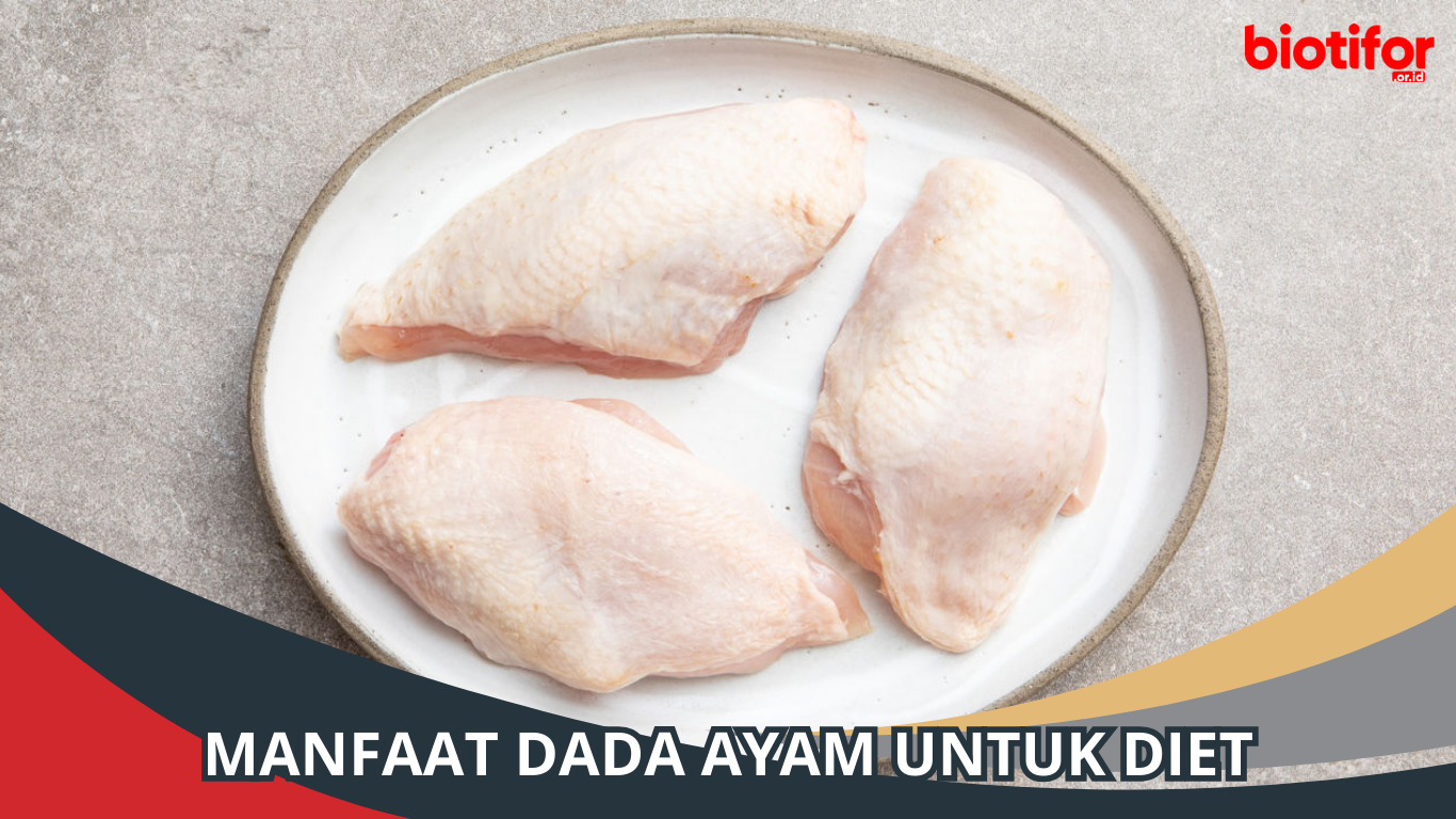 Manfaat Dada Ayam untuk Diet, Sangat Membantu Proses Diet Anda!
