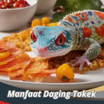 Manfaat Daging Tokek