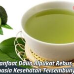 Manfaat Daun Alpukat Rebus, Rahasia Kesehatan Tersembunyi