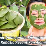 Manfaat Daun Jambu Biji untuk Wajah, Rahasia Kecantikan Alami