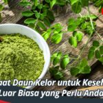 Manfaat Daun Kelor untuk Kesehatan, Khasiat Luar Biasa yang Perlu Anda Ketahui