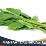 Manfaat Daun Kunyit