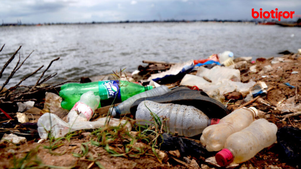 Manfaat Daur Ulang Sampah Plastik
