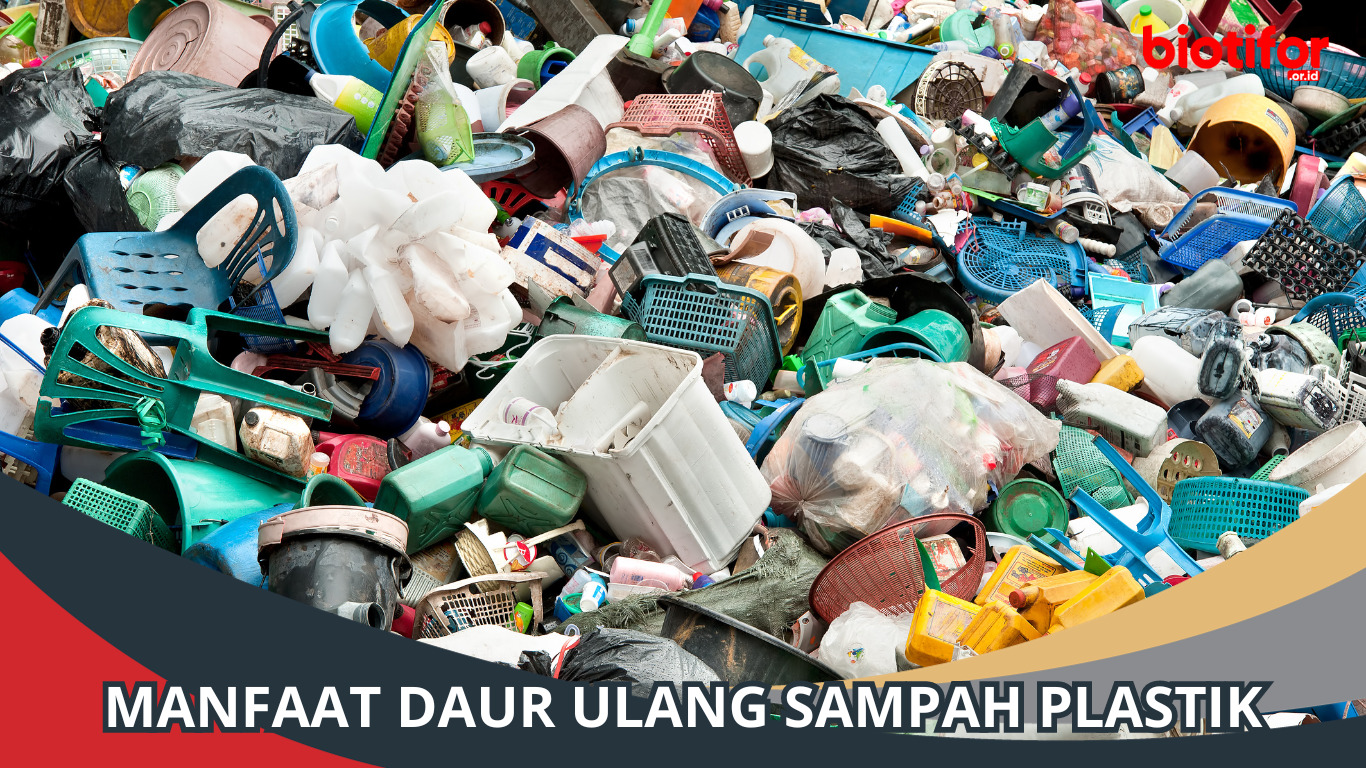 Manfaat Daur Ulang Sampah Plastik, Simak Penjelasannya!