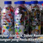 Manfaat Ecobrick, Solusi Ramah Lingkungan yang Perlu Kita Ketahui