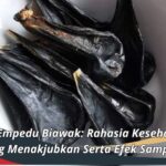 Manfaat Empedu Biawak: Rahasia Kesehatan dan Kulit yang Menakjubkan Serta Efek Sampingnya