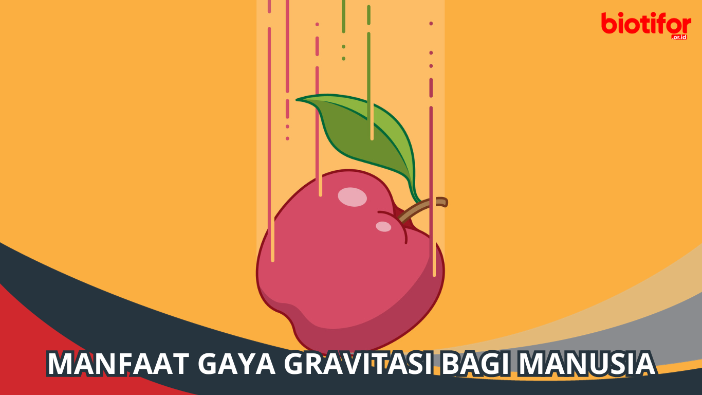 Manfaat Gaya Gravitasi bagi Manusia, Berperan Penting!