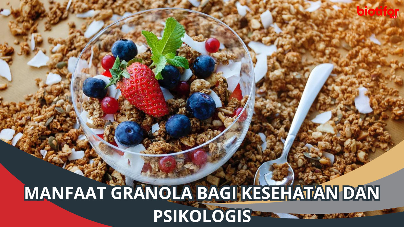 Manfaat Granola Bagi Kesehatan dan Psikologis