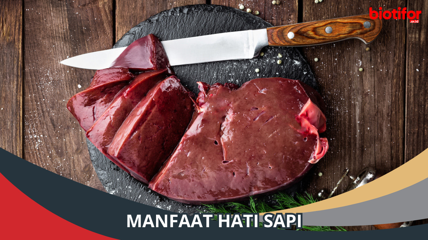7 Manfaat Hati Sapi Untuk Kesehatan, Yuk Simak!