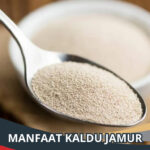 Manfaat Kaldu Jamur