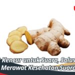 Manfaat Kencur untuk Suara, Solusi Ampuh untuk Merawat Kesehatan Suara Anda