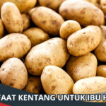 Manfaat Kentang untuk Ibu Hamil