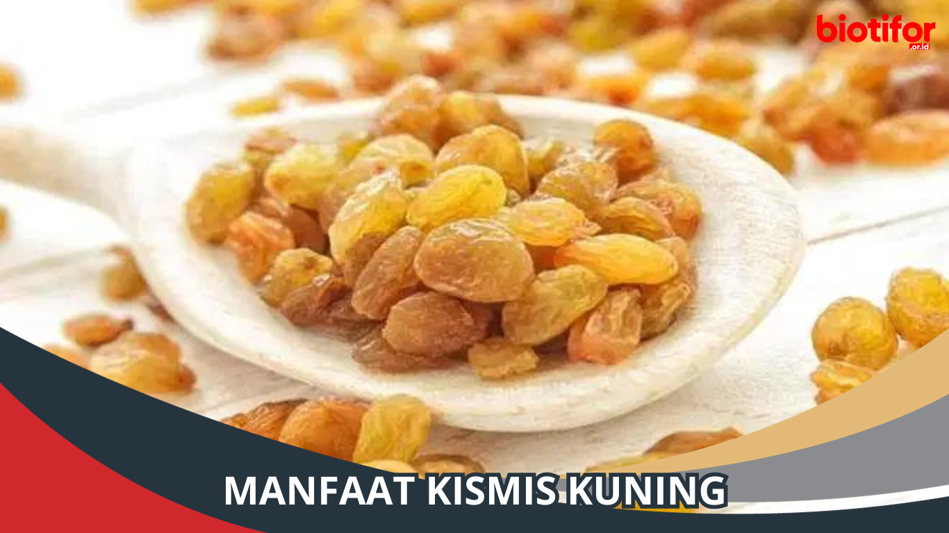 7 Manfaat Kismis Kuning Bagi Kesehatan, Tinggi Serat!
