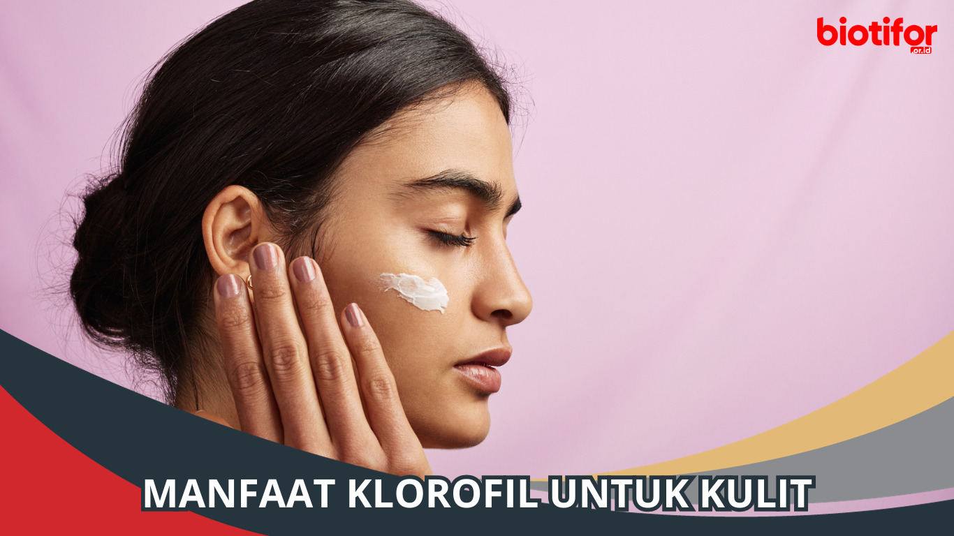 Manfaat Klorofil untuk Kulit | Cantik Alami dengan Daun Hijau