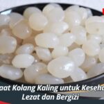 Manfaat Kolang Kaling untuk Kesehatan, Lezat dan Bergizi