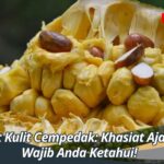 Manfaat Kulit Cempedak: Khasiat Ajaib yang Wajib Anda Ketahui!