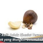 Manfaat Kulit Salak: Khasiat Tersembunyi Buah Salak yang Mungkin Belum Anda Tahu